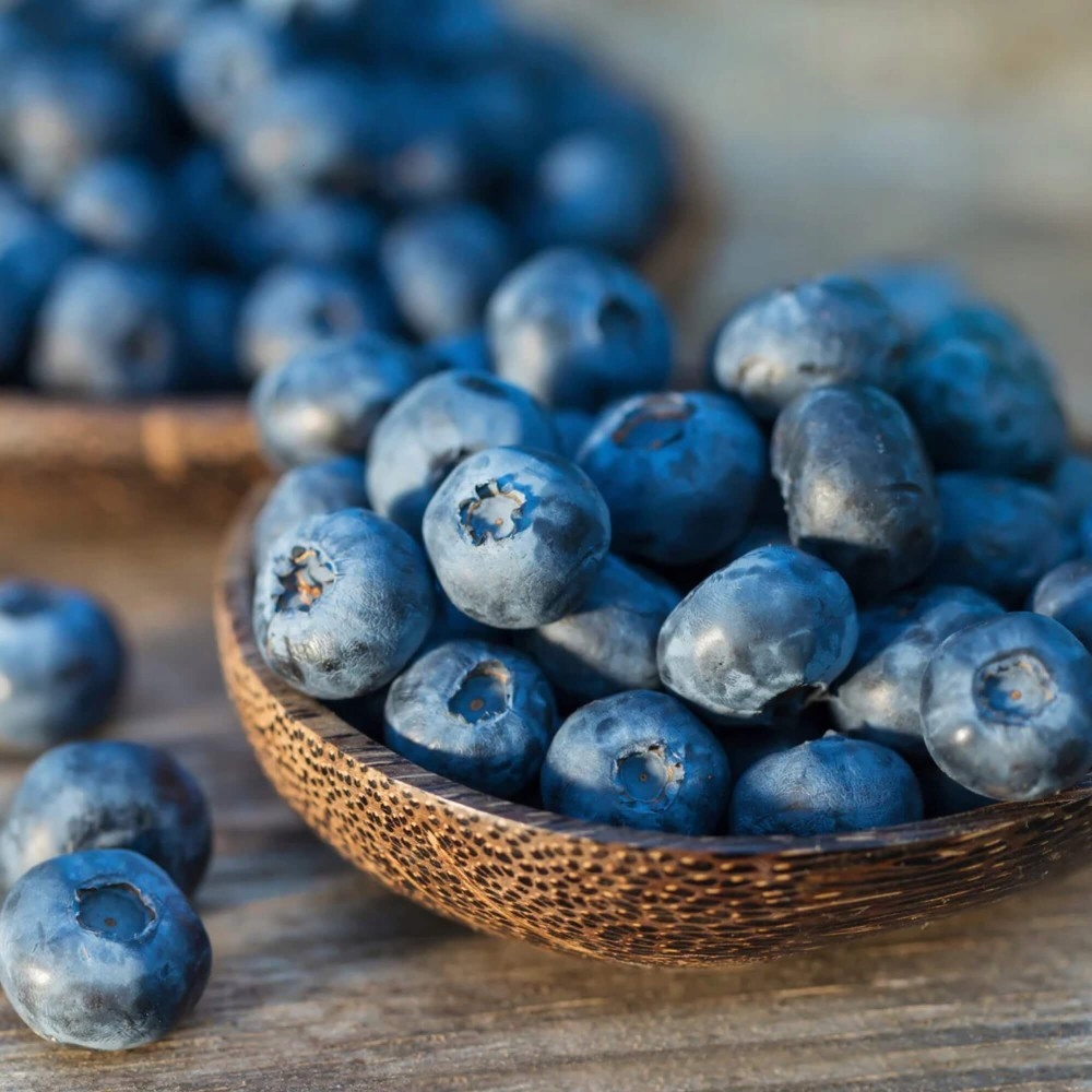 Vonný olej Čučoriedka 1000 ml