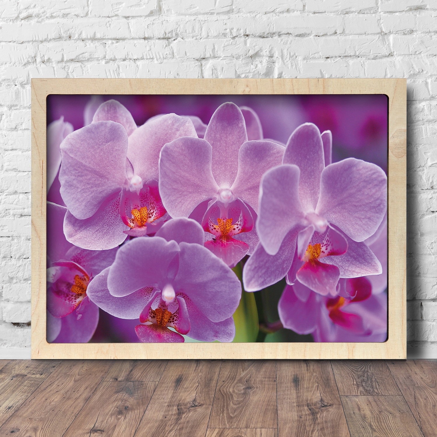 Obraz s dřevěným rámem Orchidej orchidej 75x55