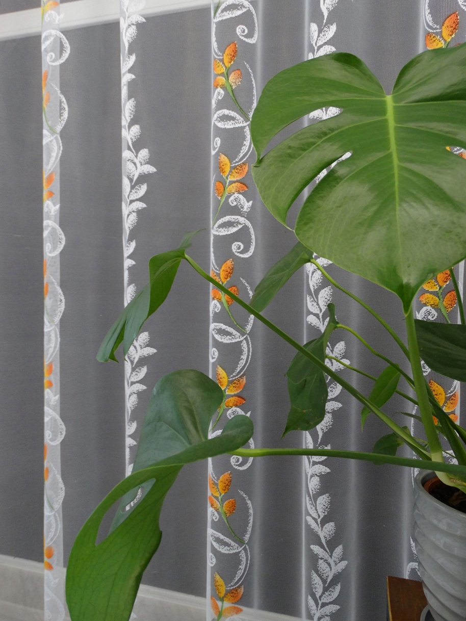 Mg Záclona lístky Bílá s pomerančem 300x225 cm hotová Bt obšitá M