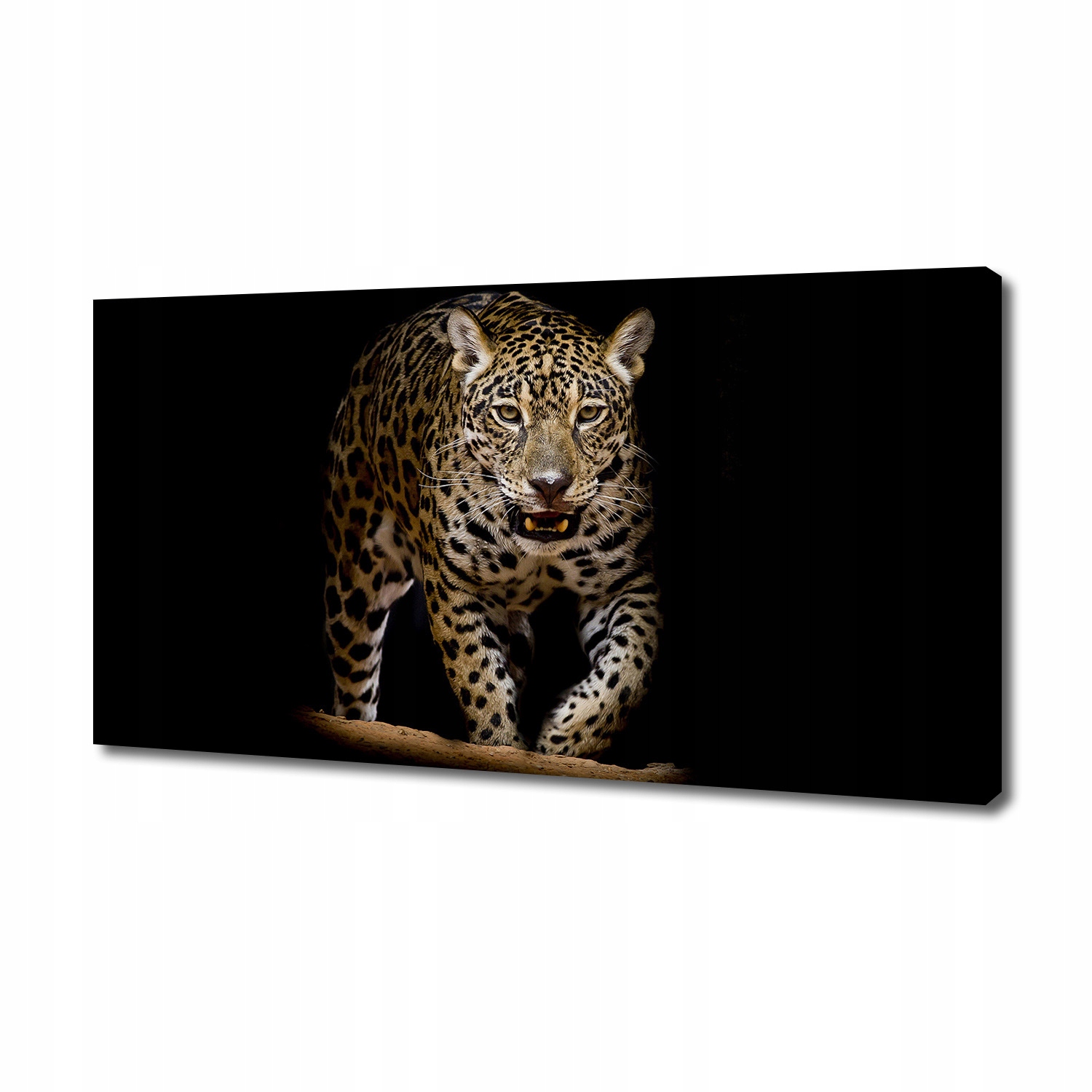 

Foto obraz duży canvas na ścianę Jaguar 140x70 cm