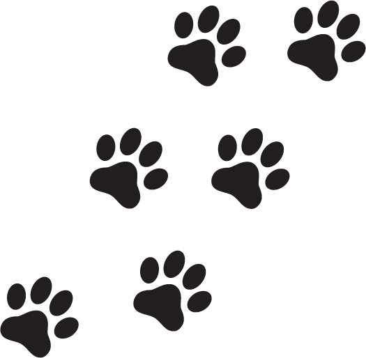 

Naklejka na samochód Łapki, Ślady 16 szt