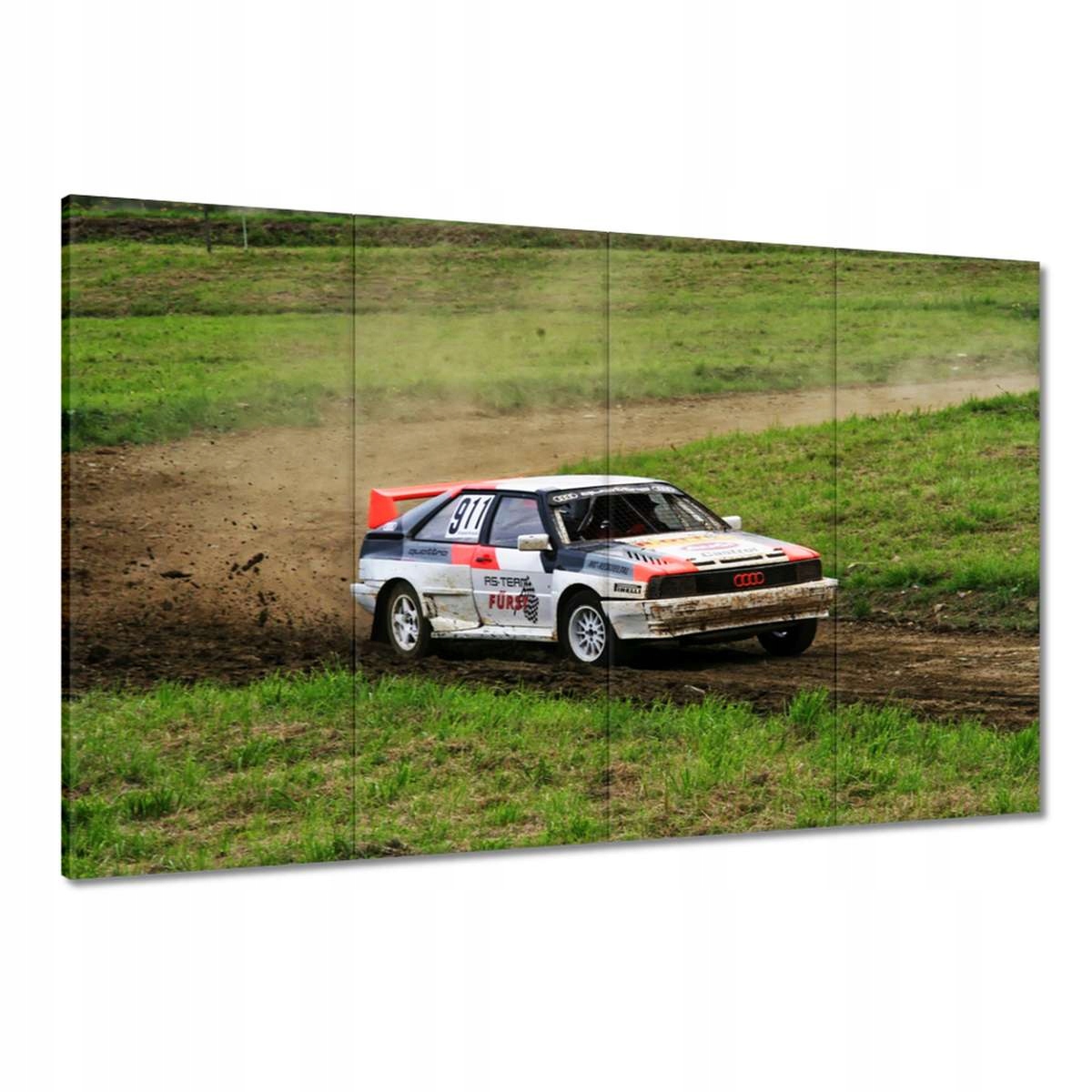 Obrazy 120x80 Audi Quattro v terénu