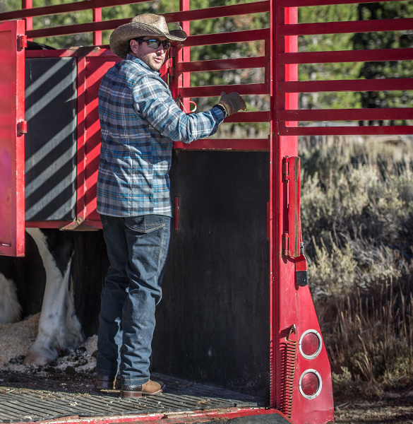 Spodnie Helikon Greyman Jeans D. Blue XXL-XL 38/36 Materiał dominujący bawełna