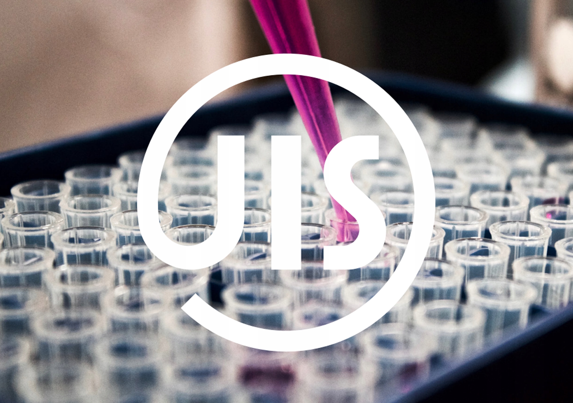 F88b52074a65a33d196c3ba5e42e