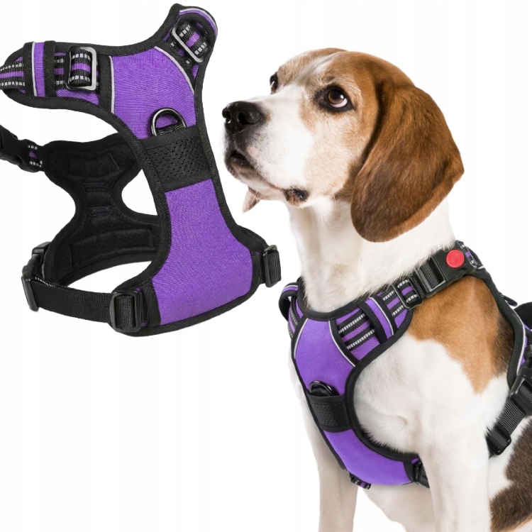 Levně Postroj pro psa Rabbitgoo L fialový No-Pull silný