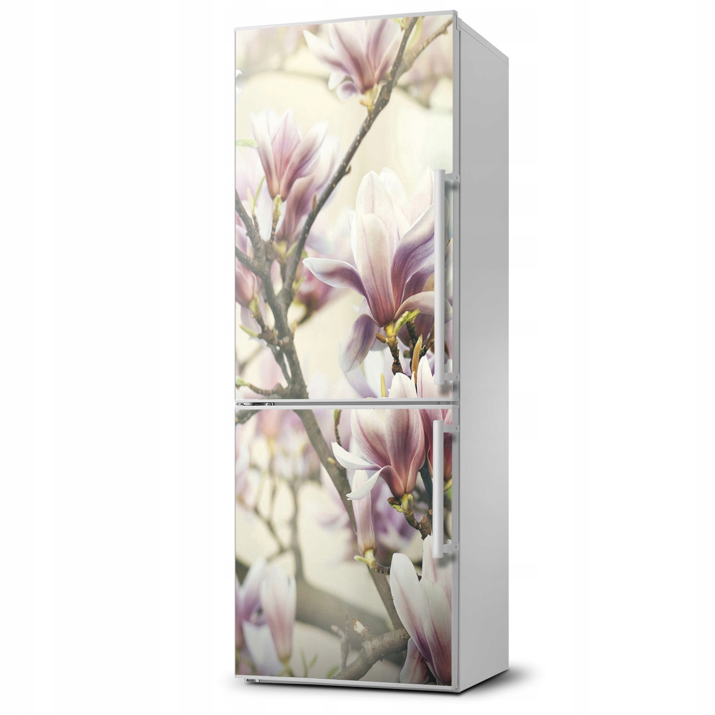 

Naklejka Magnes Magnes na lodówkę Magnolia 60x180