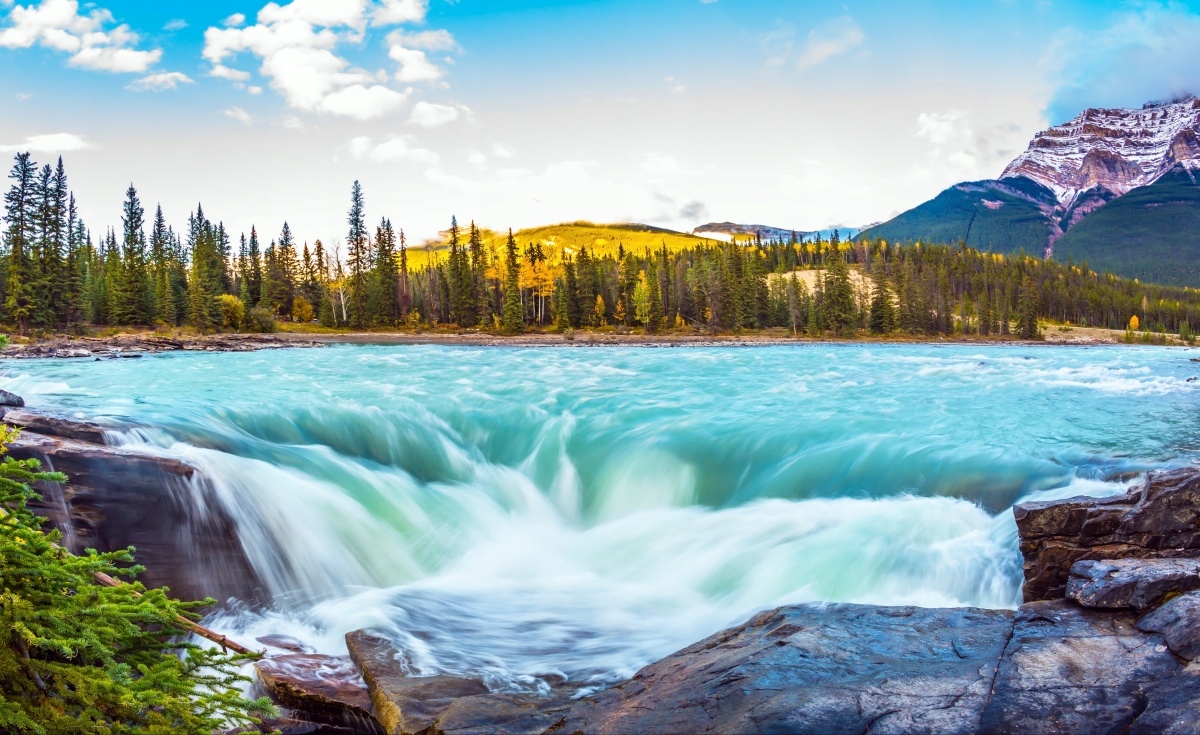 

Tapeta flizelinowa Jasper Park 416x254