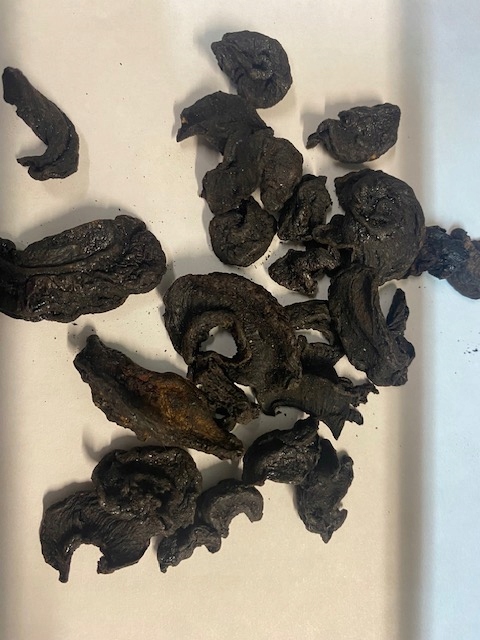 Levně Garcinia Cambogia Ovoce 100 g Rafex