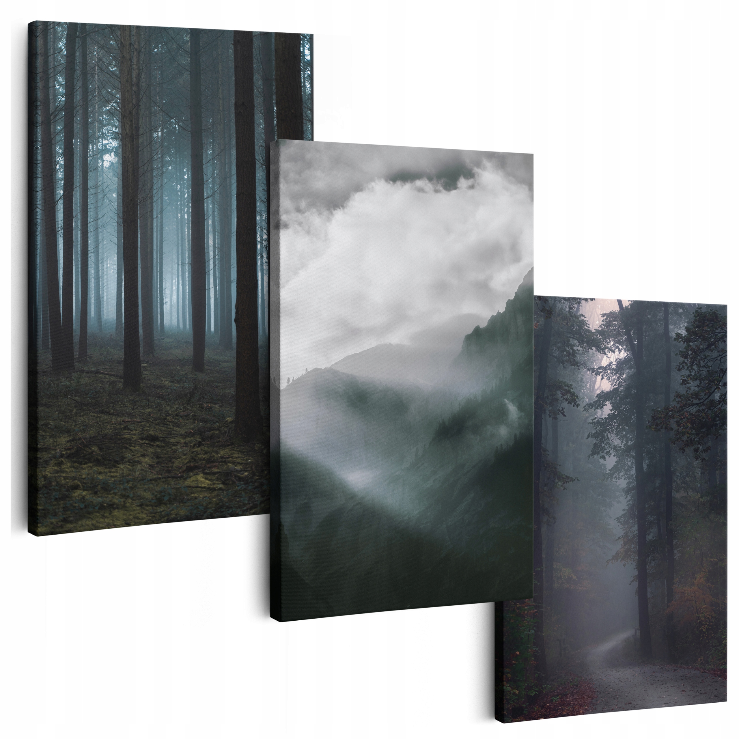 Obraz Na Plátně 150 cm *mnoho vzorů* Obrazy Do Obývacího Pokoje Triptych Mlha Stromu