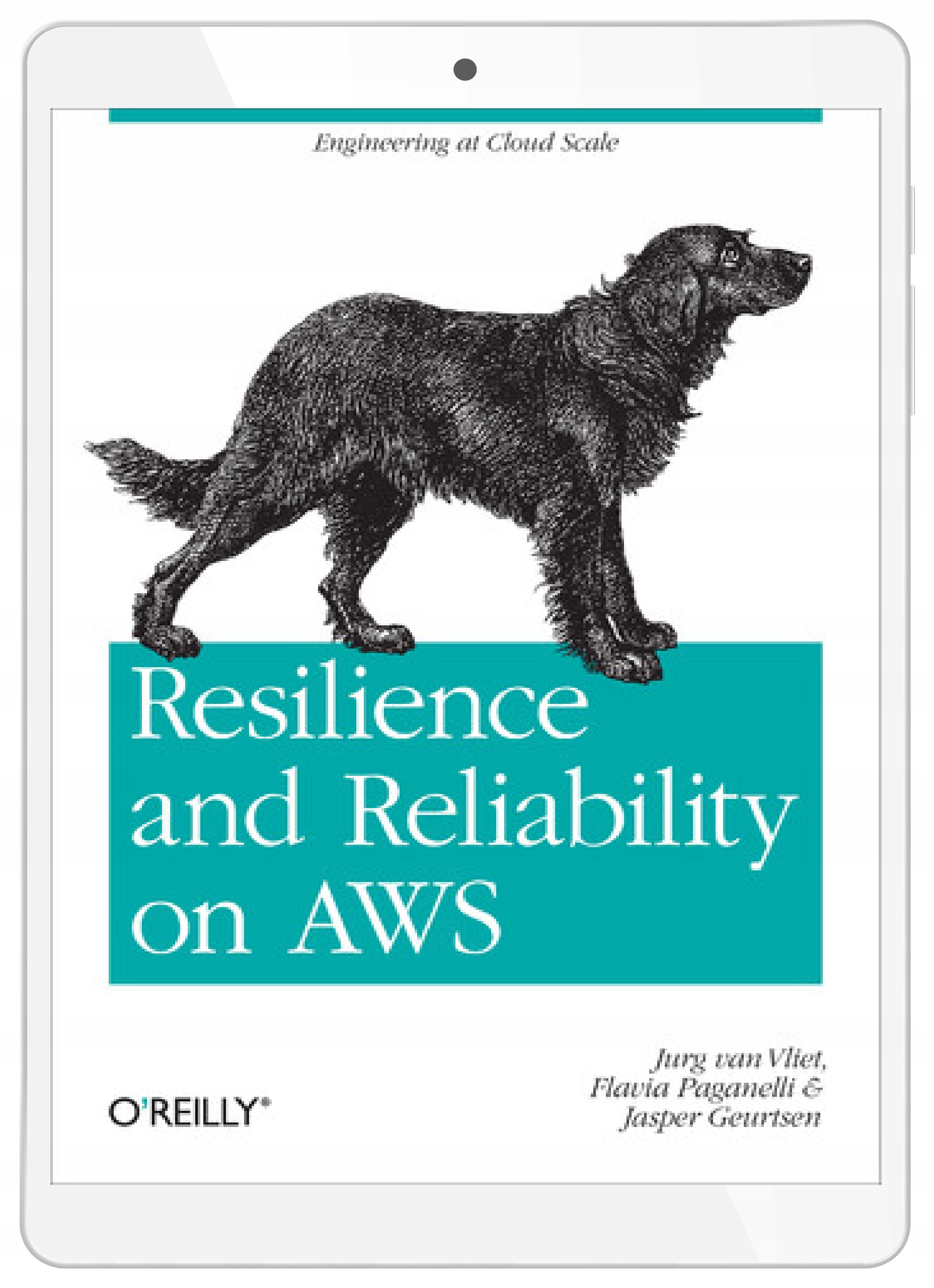 Resilience and Reliability on AWS