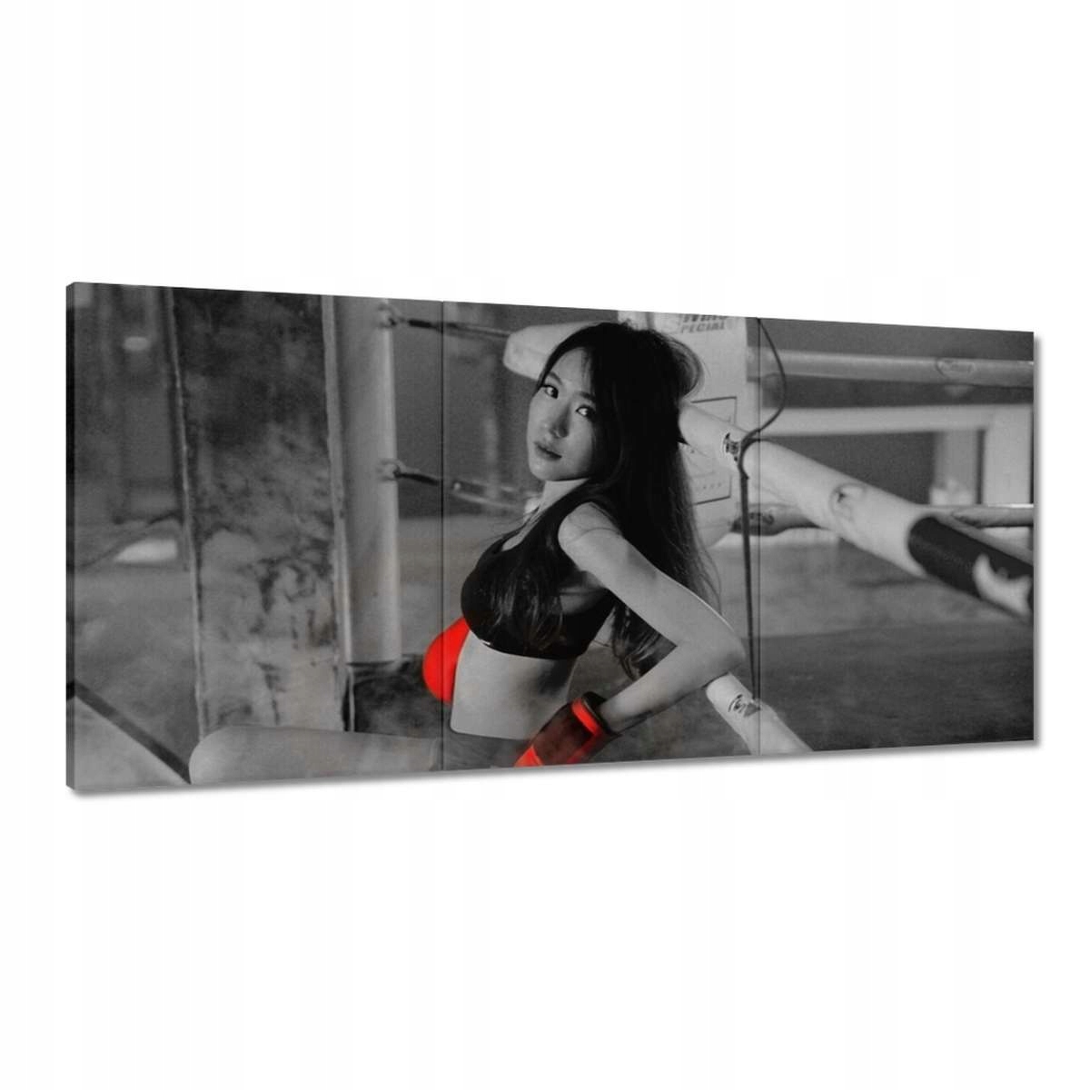 Obrazy 180x90 Boxerka Bojová palica