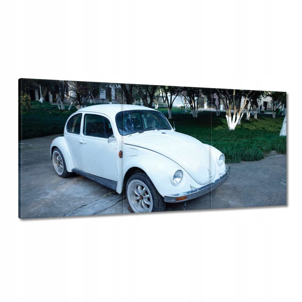 Obrazy 180x90 Garbus Volkswagen Vw Auto