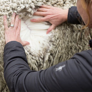 Koszulka SMARTWOOL M'S ACTIVE ULTRALITE Rozmiar L