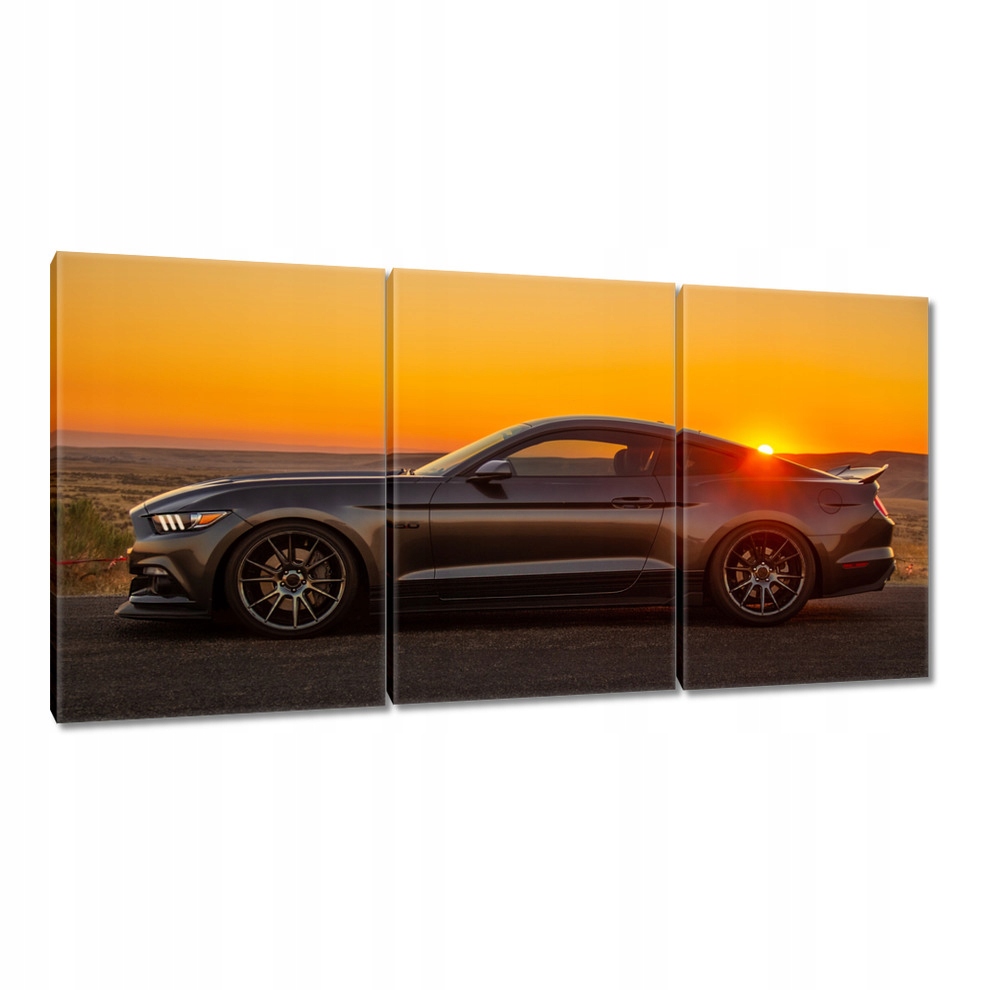 

Obrazy 120x60 Ford Mustang made in Usa