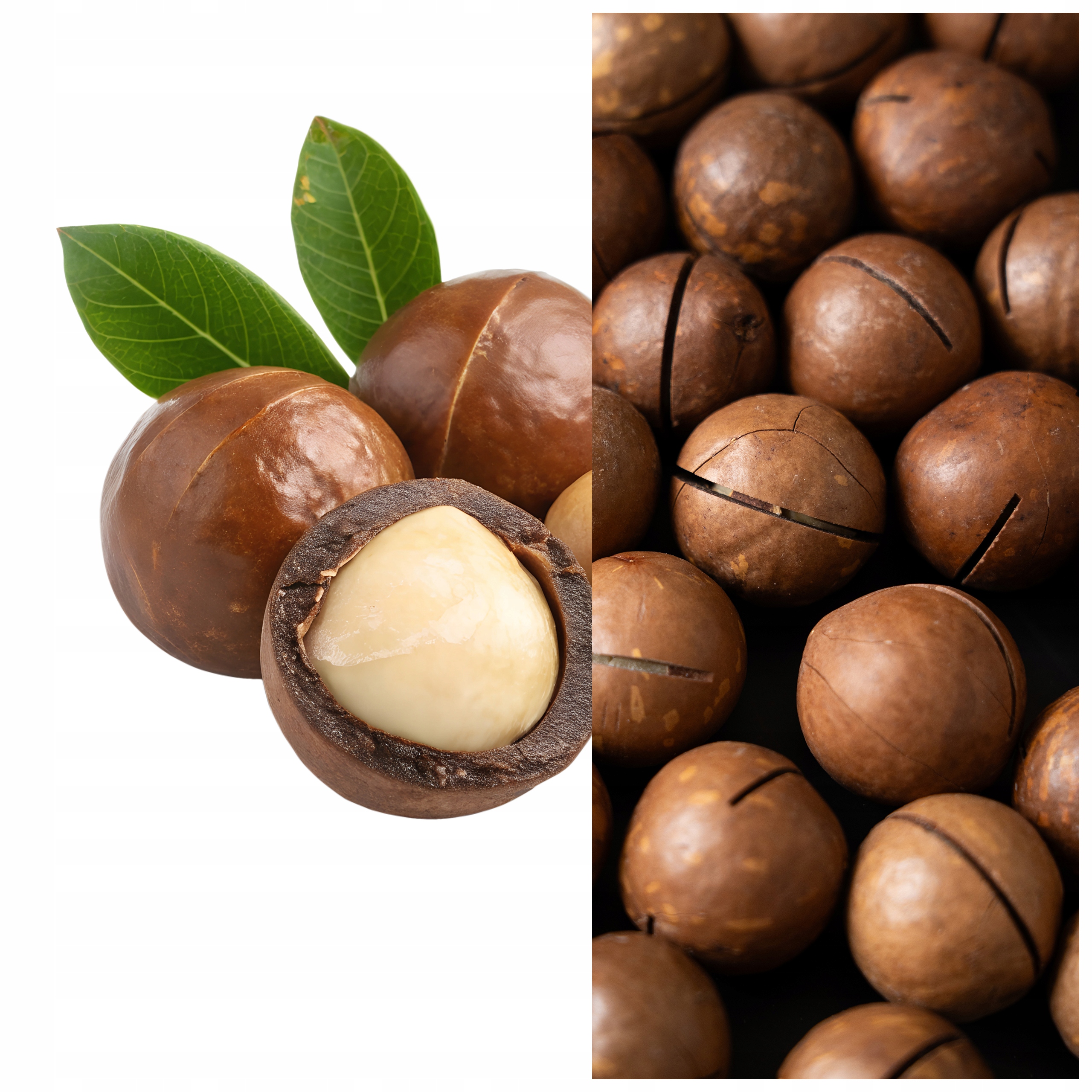 Makadamia ve skořápce 2x500 g s příchutí vanilky ořechy |OlsiFood