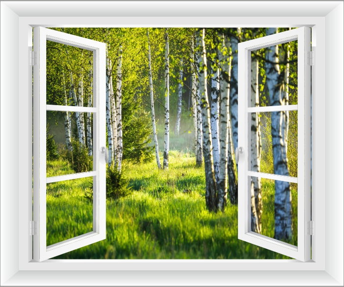 FOTOTAPETA OKNO las