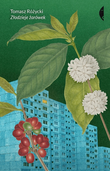 

Złodzieje żarówek Tomasz Różycki