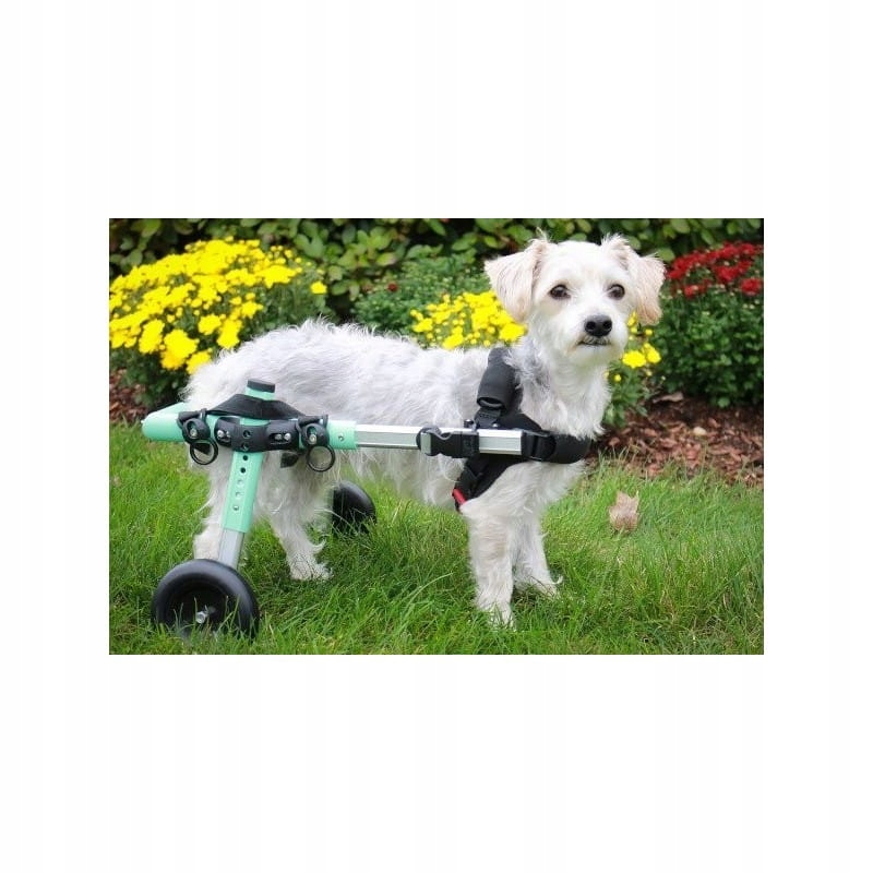 Invalidní vozík pro psy 8 – 11 kg Walkinpets (délka zadní nohy 15-20)