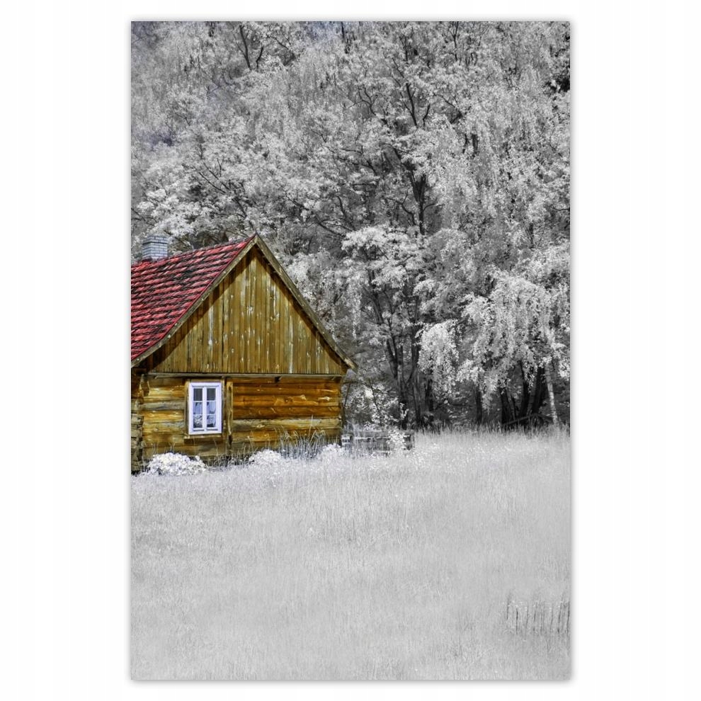 

Plakaty 40x60 Drewniany dom Bale