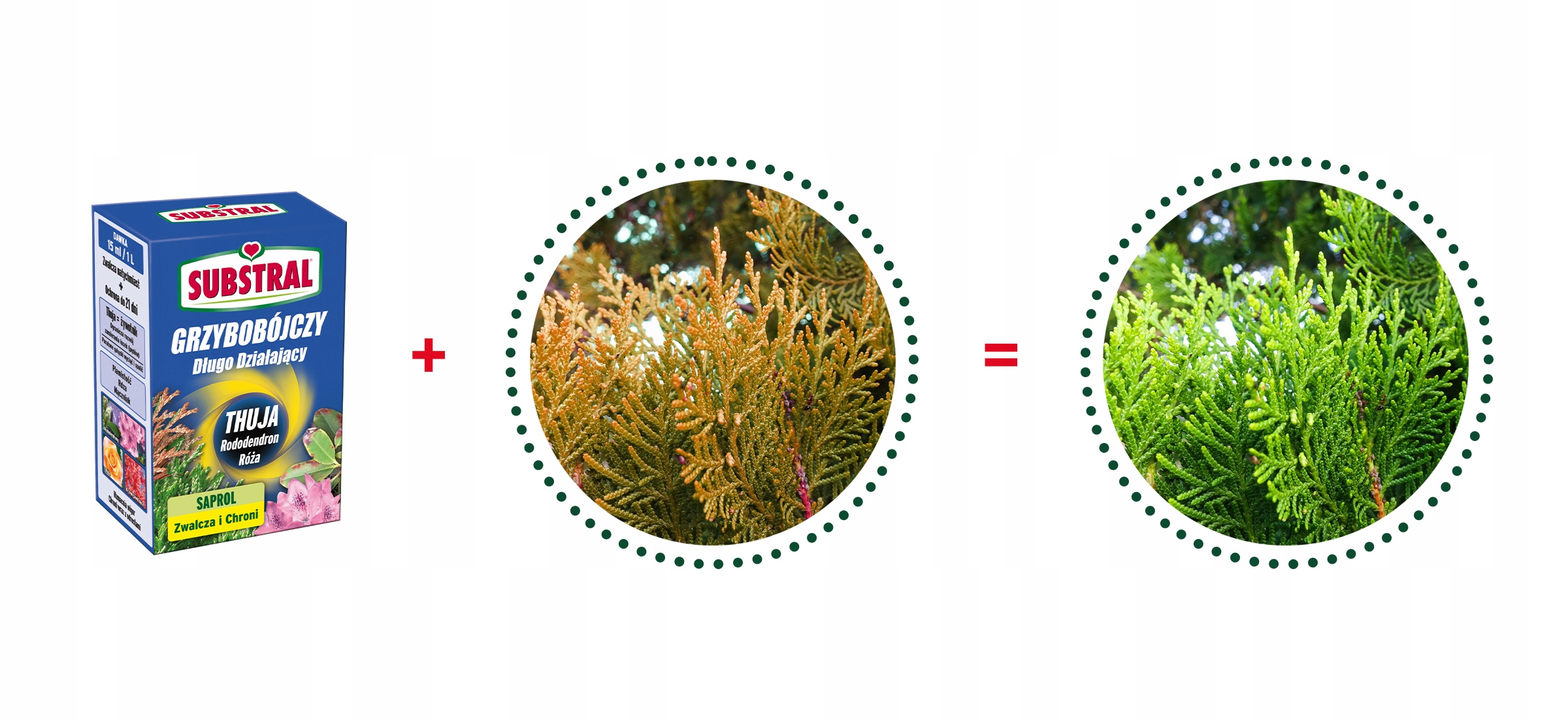Saprol Przeciw Brązowieniu Tuja 100ml Substral Producent Substral
