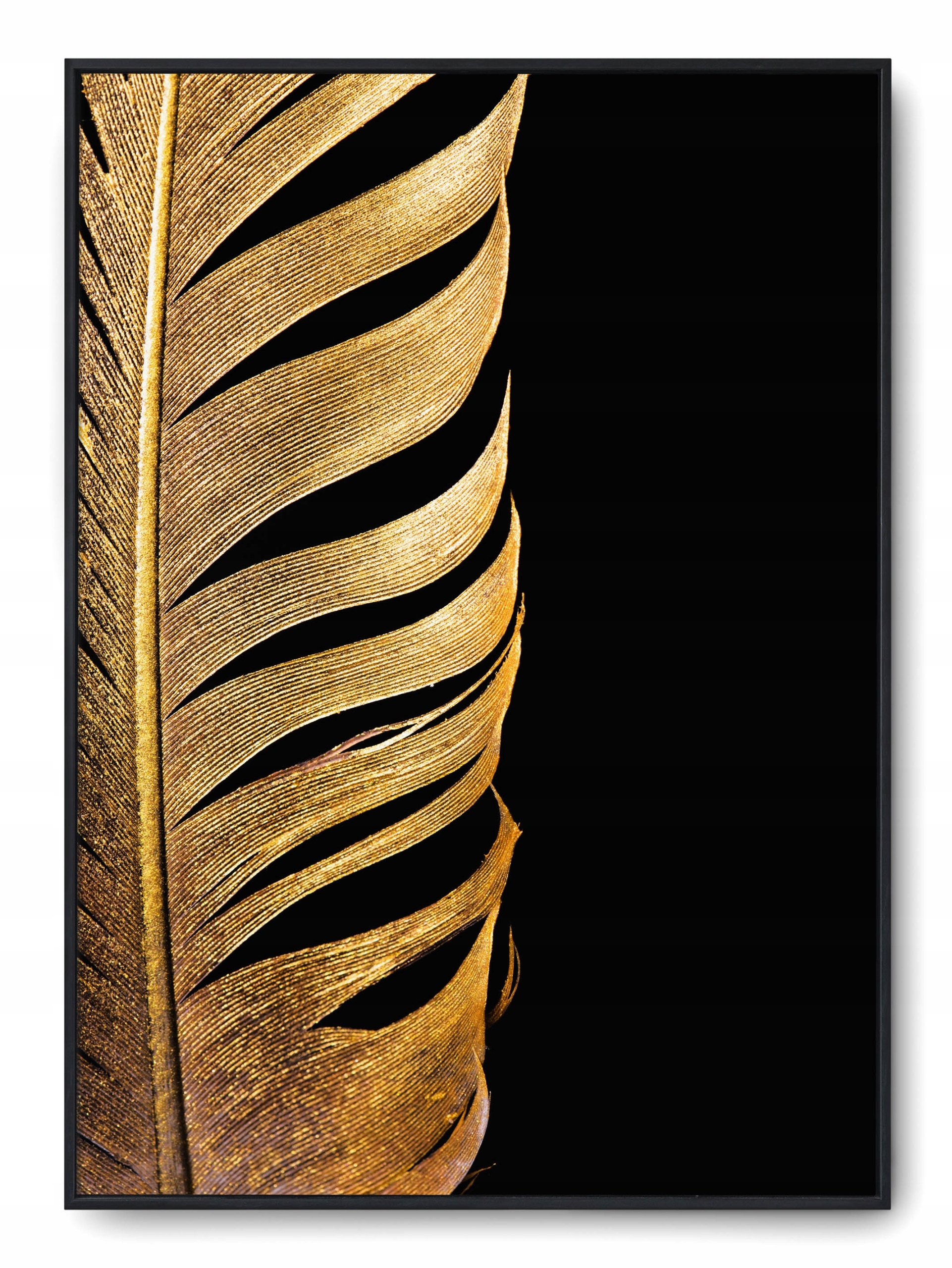

Plakat r B2 50x70 cm Pióro Złote