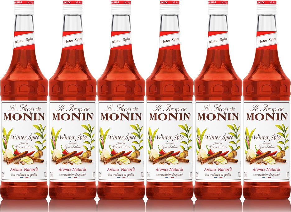 Monin Syrop smakowy Winter Spice korzenny mieszanka przypraw x6