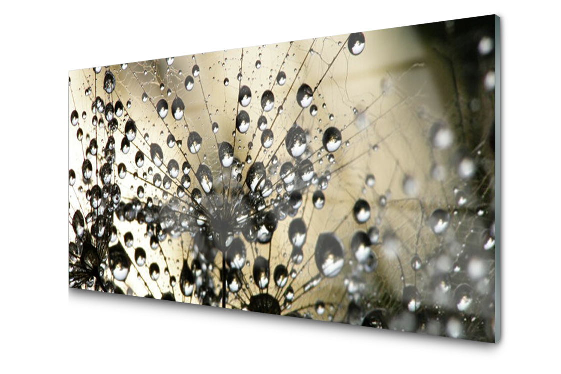 

Panel szklany dekor Mniszek Roślina 140x70