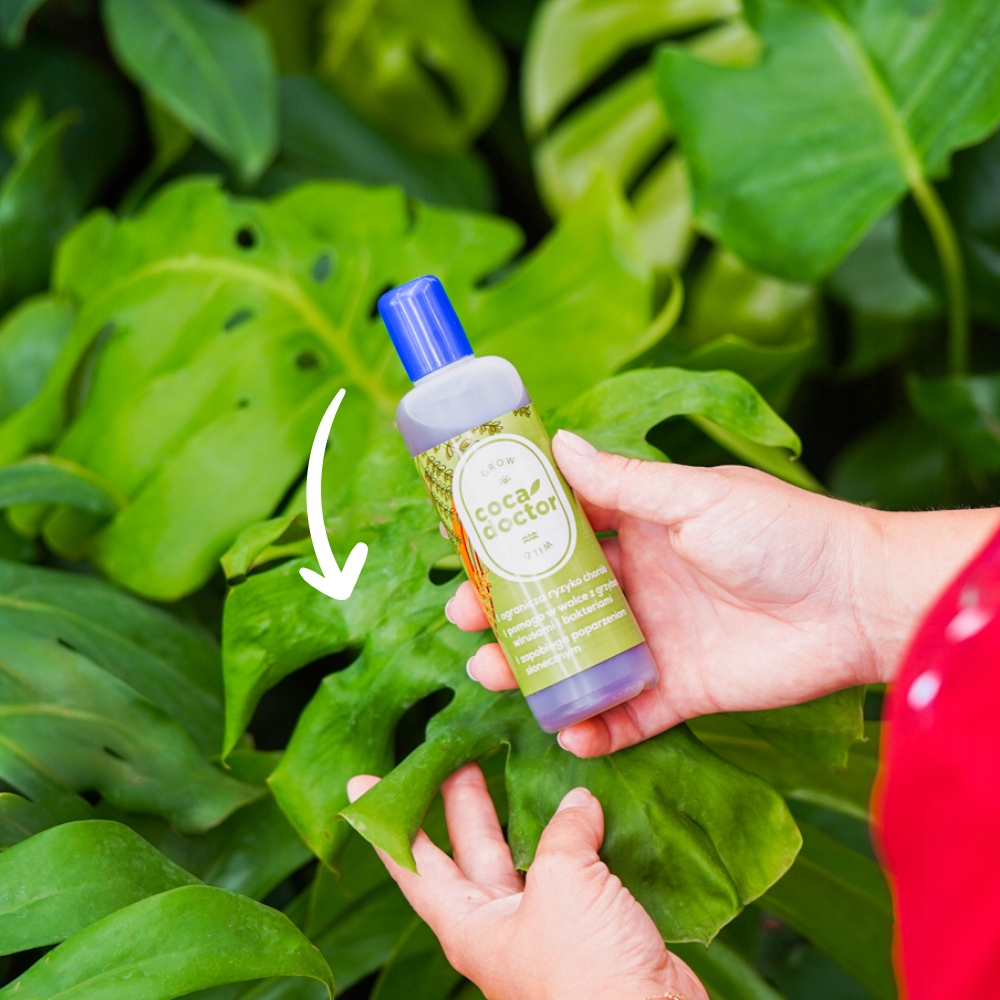 CocaDoctor Preparat Do Roślin Zielonych ANTY-Grzyb ŚRODEK PRZECIWGRZYBICZNY Waga 0.15 kg