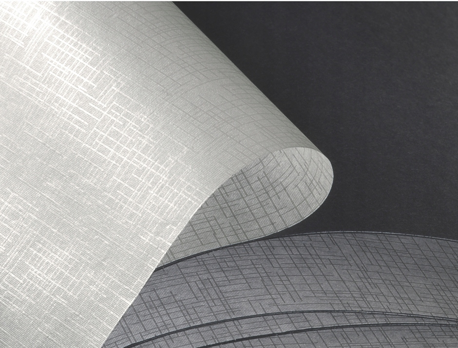 Hama ALBUM FINE ART 24X17/50 SZARY Rodzaj albumu album tradycyjny (zdjęcia wklejane)