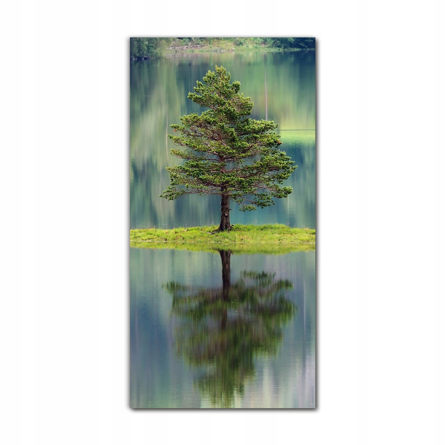 

Obraz na szkle na ścianę 70x140 Fiordy Skandynawia