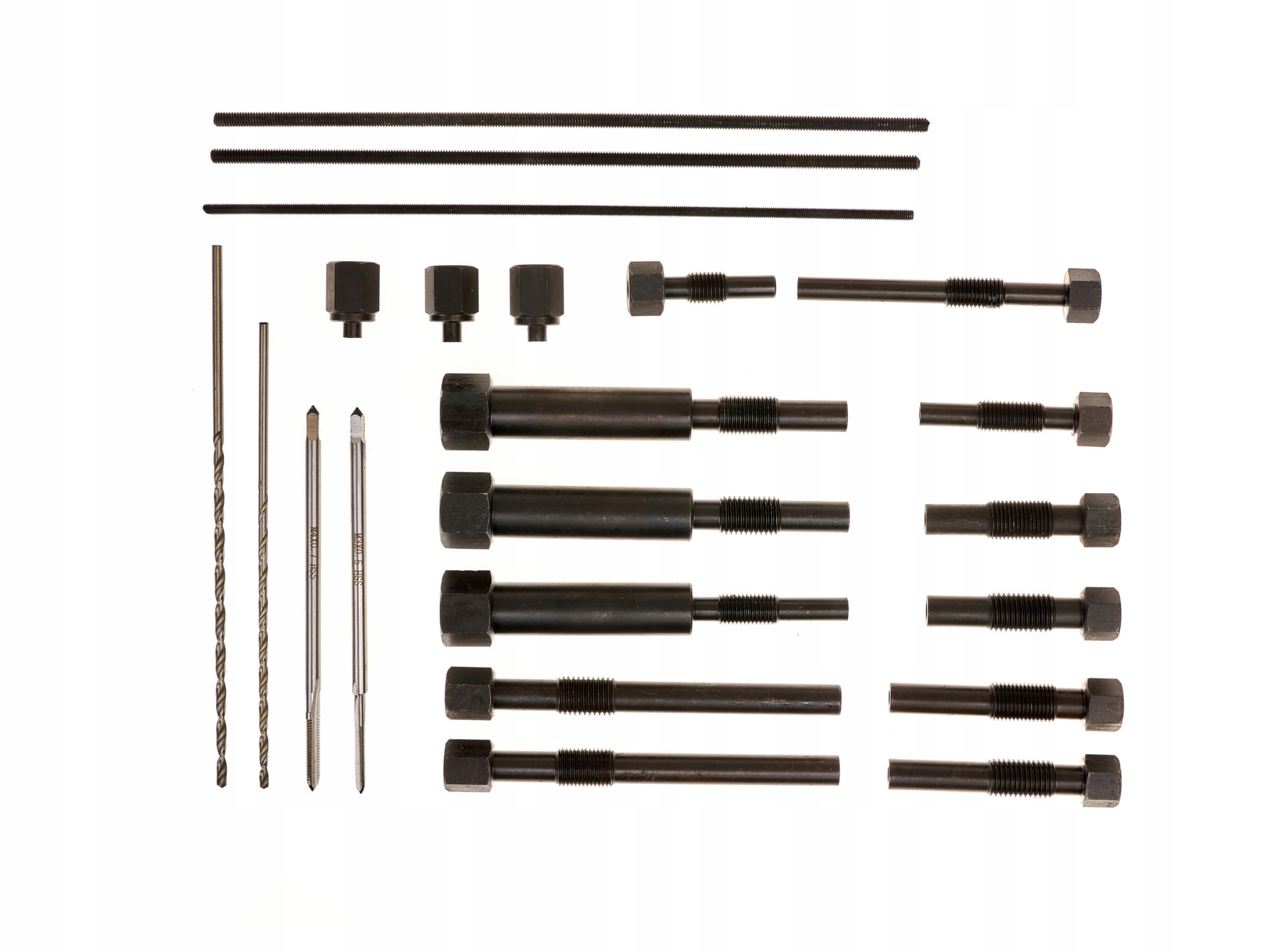 ZESTAW WYCIAGANIA URWANYCH SWIEC ZAROWYCH ZARNIKOW Producent code F05514