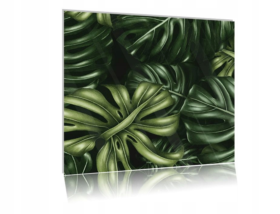 

Obraz szklany na szkle Liście Monstera 04 50x50