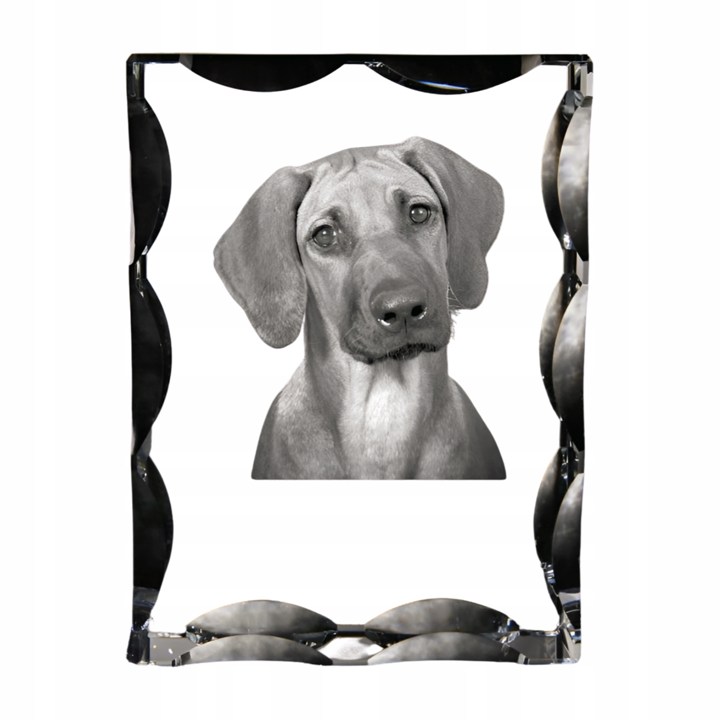 Rhodesian Ridgeback fotografia psa v ozdobnom kryštáli, suvenír, dekorácia