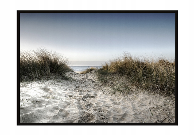 

Obraz Plakat W Ramie 53x73 cm Wydmy P833
