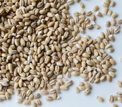 Levně Kaše Ječmenná Pupečník 25 kg Swojska Piwniczka