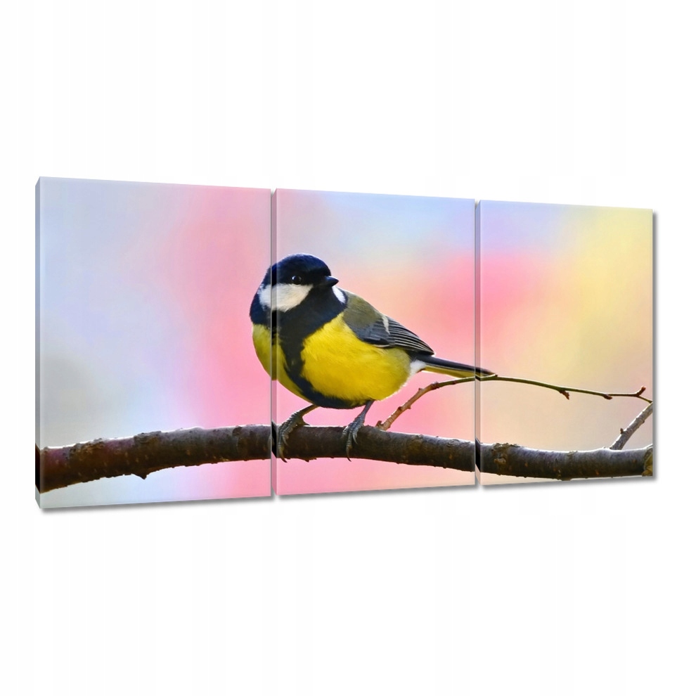 

Obrazy 120x60 Żółty ptaszek