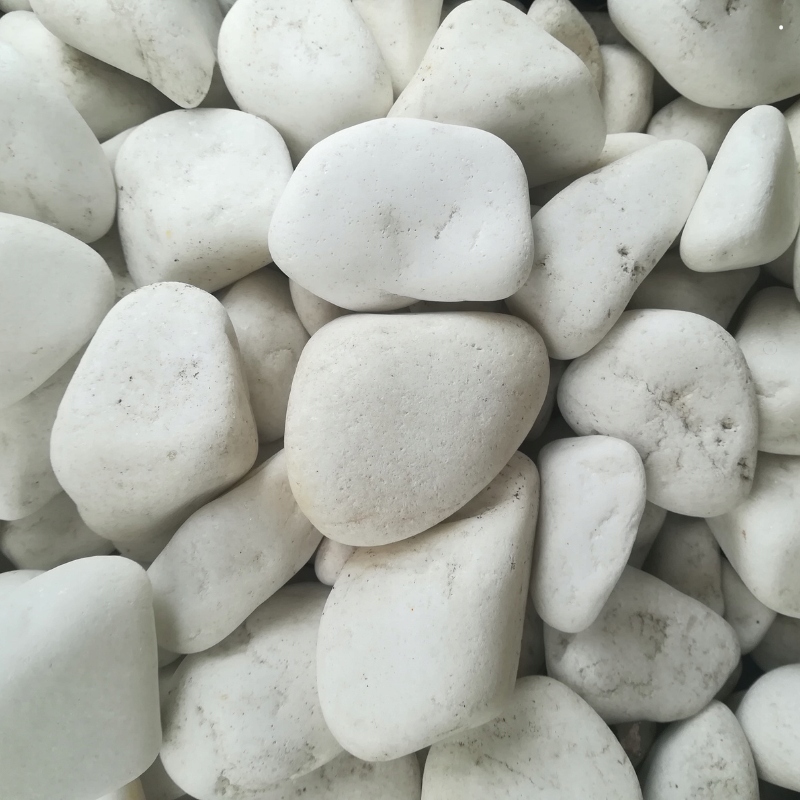 BIAŁY KAMIEŃ DEKORACYJNY THASSOS 2-5cm Las W Słoiku
