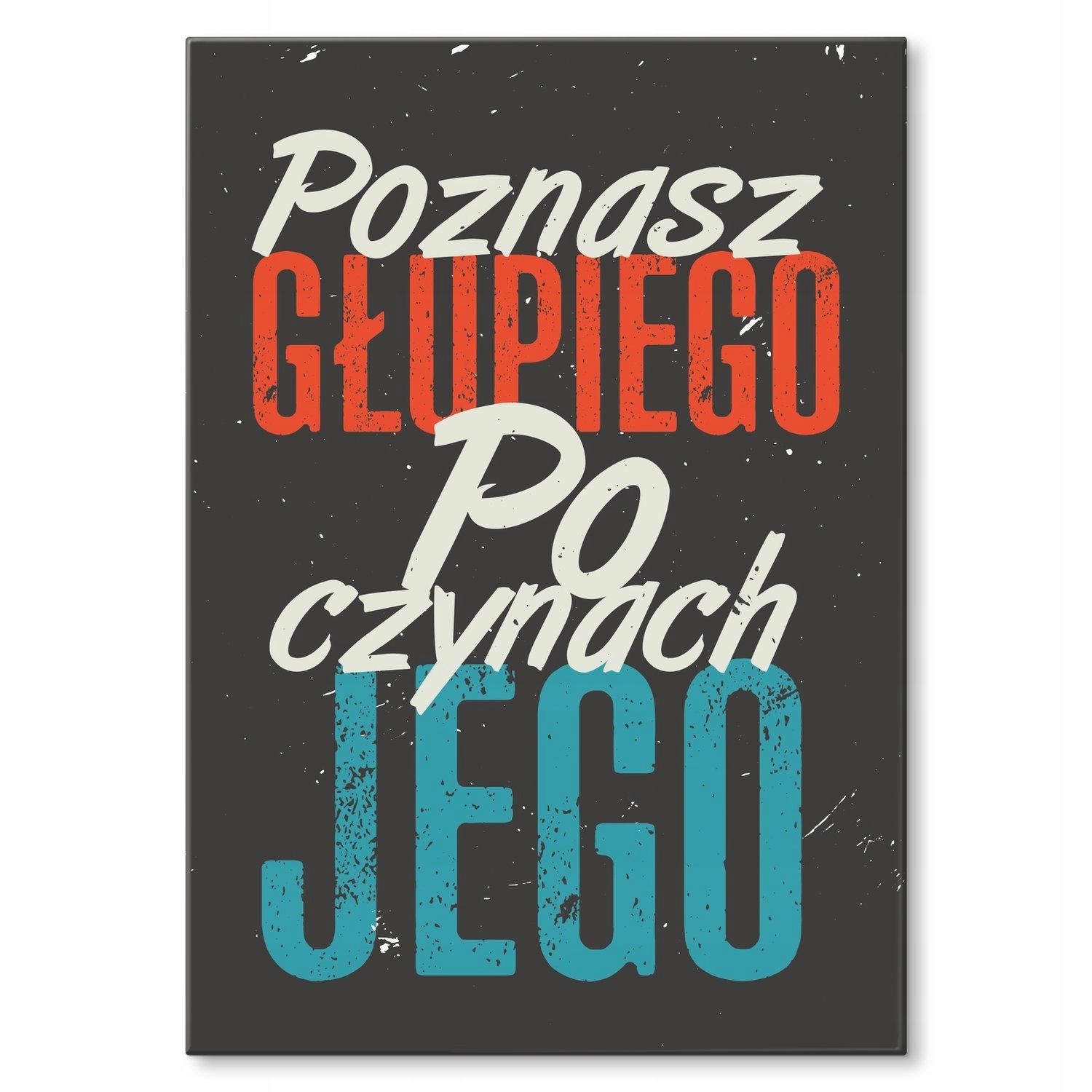 Kovový plakát Poznáte hloupého Dárek 42 x 59 cm