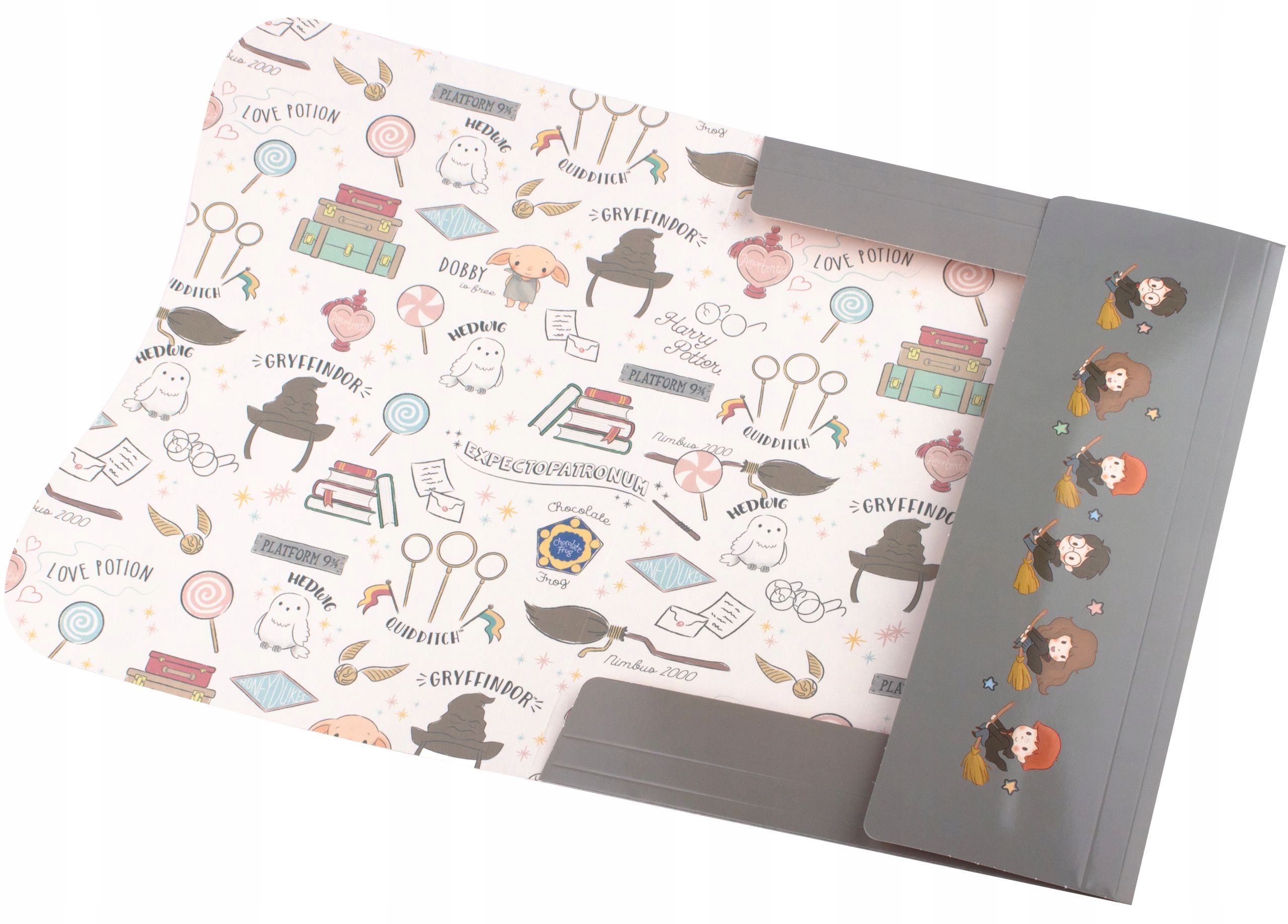 2X TECZKA Z GUMKĄ A4 LAKIEROWANA HARRY POTTER Format A4