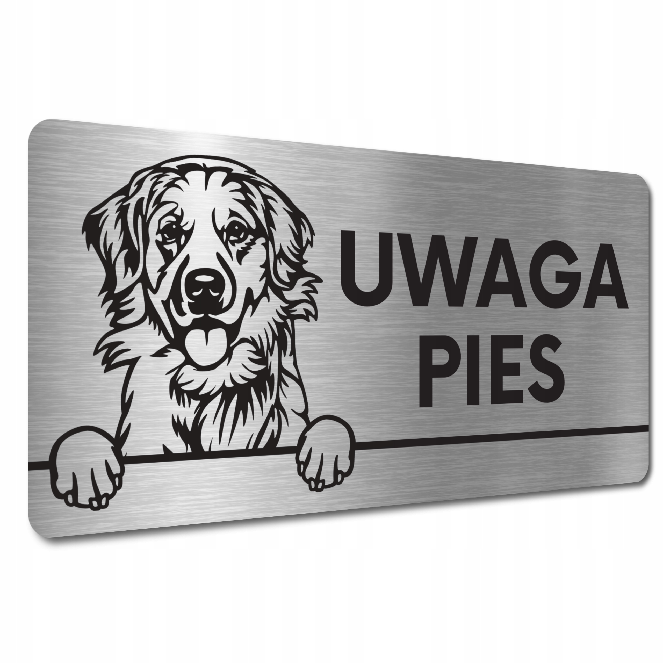 

Tabliczka Uwaga Zły Pies Groźny Golden retriever