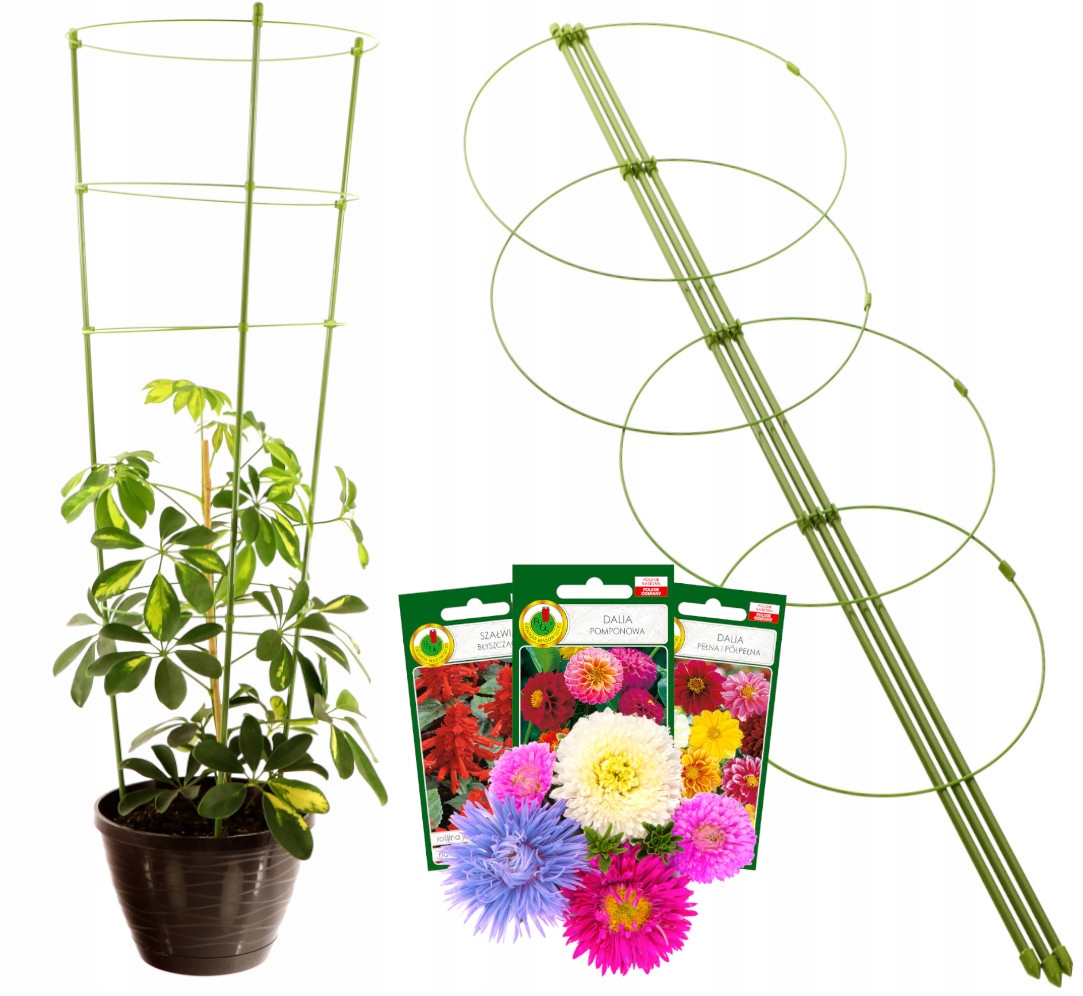 

Podpora Pierścieniowa Do Roślin Pierścienie 75 cm