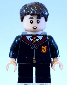 

Lego Harry Potter Neville Longbottom hp299 76395