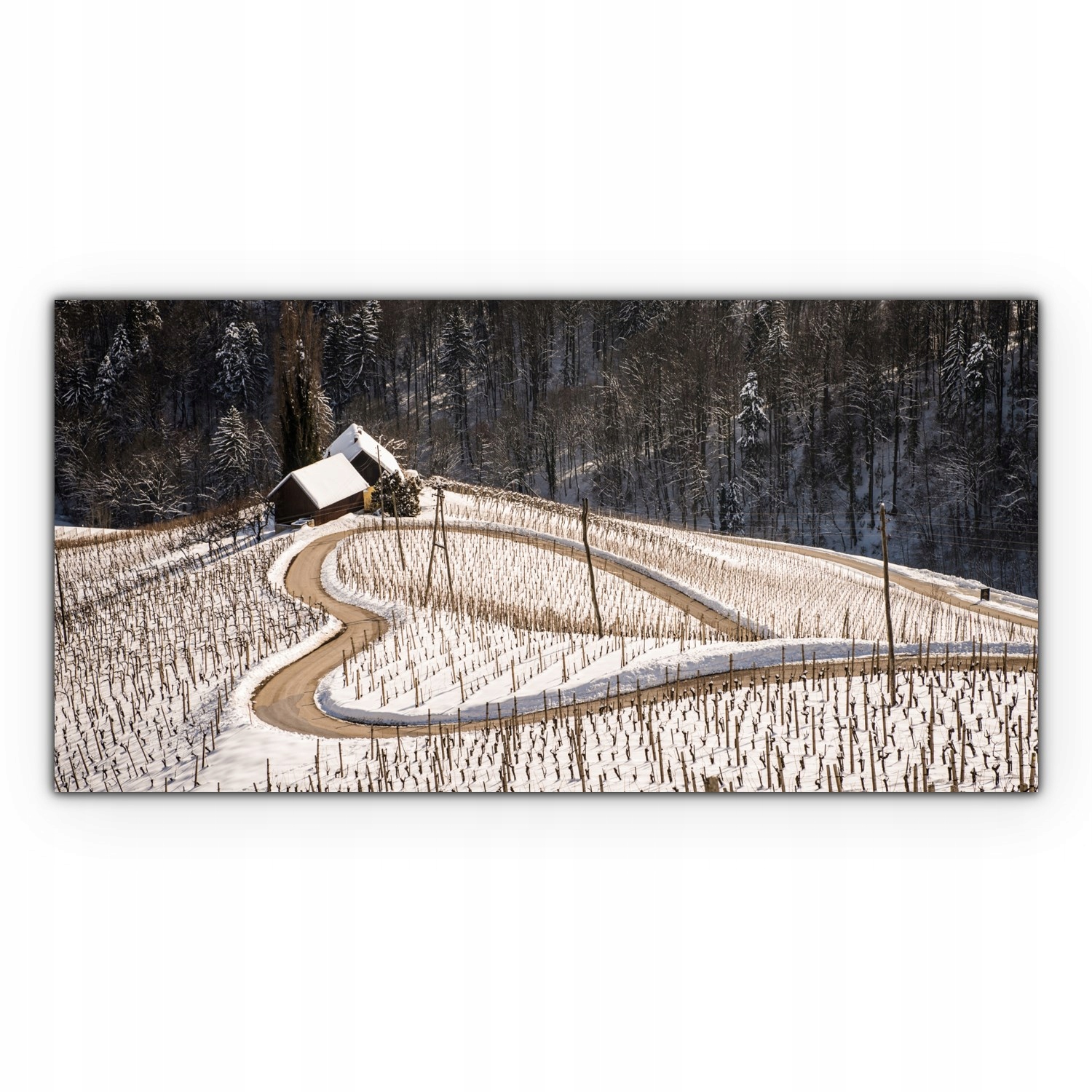 

foto-obraz na płótnie 120x60 Zima Droga Krajobraz