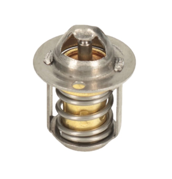 YAMAHA DT TZR RIEJU RS NKD MRT APRILIA RS RX 50 silnik AM6 termostat