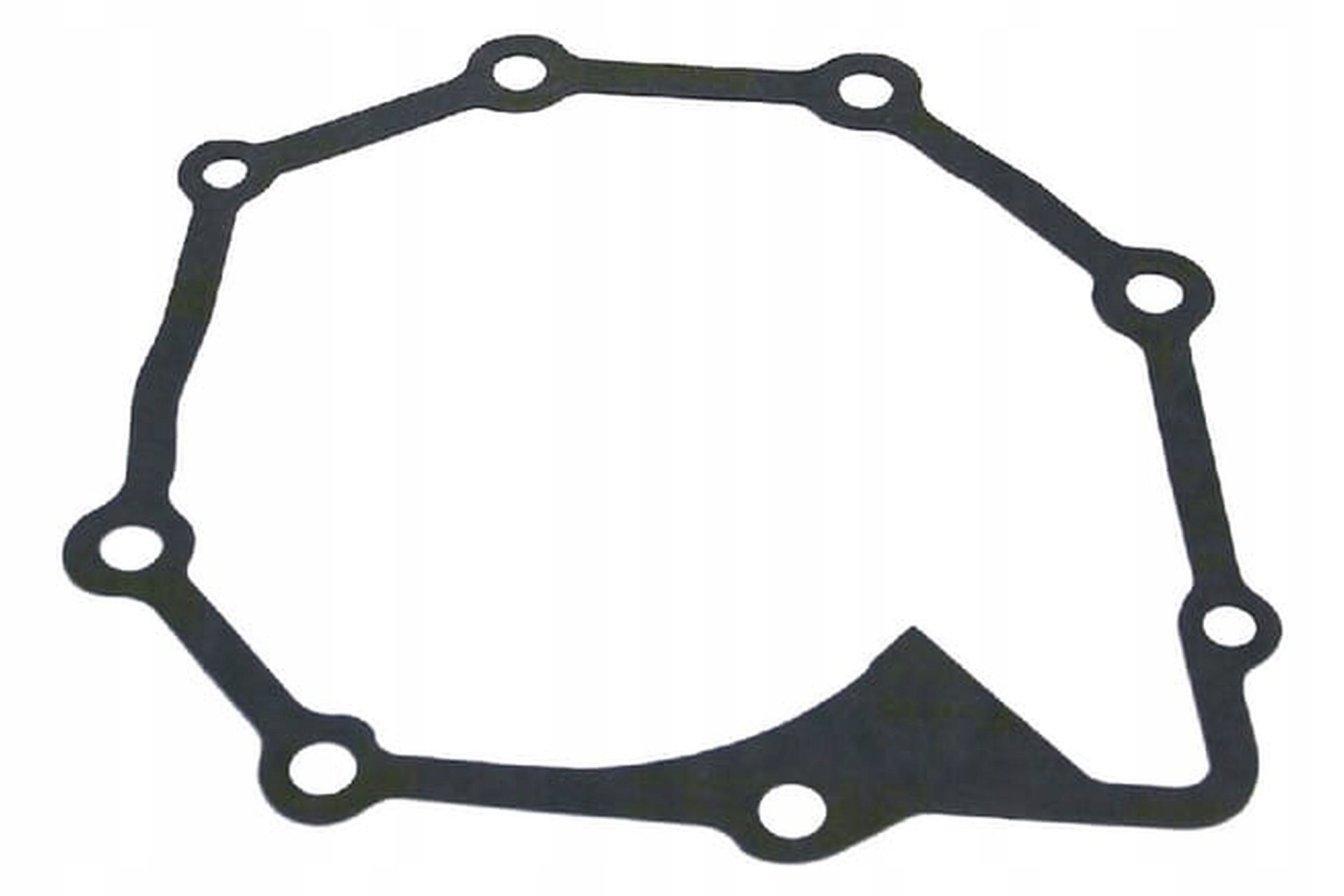 VPE2619 Uszczelka pompy wody