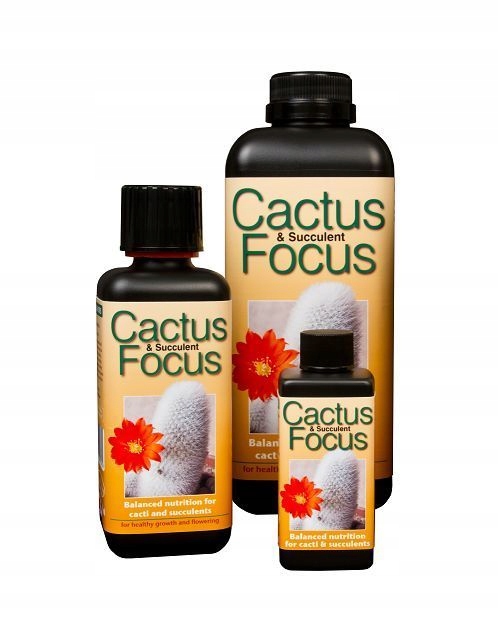 

Cactus Focus nawozów do kaktusów sukulentów 300ml