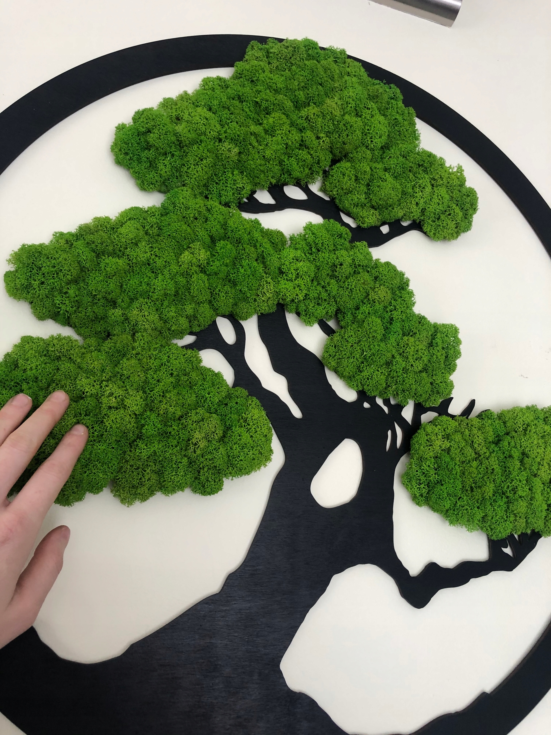 DRZEWKO Z CHROBOTKIEM DEKORACJA Z MCHU 50 cm Szerokość produktu 50 cm