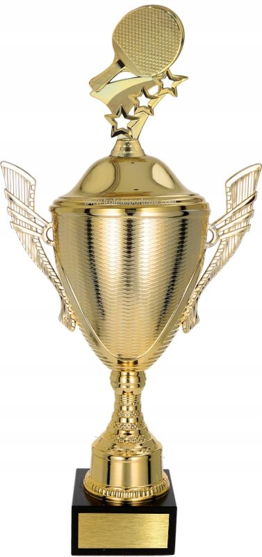 

Puchar z figurką Tenis Stołowy 45 cm +grawer