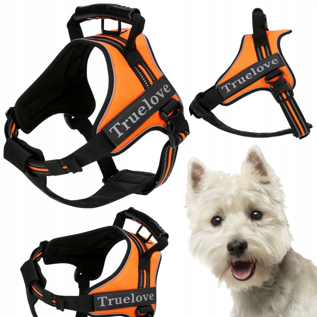 Levně Postroj Pro Psa Pracujícího S Rukojetí Truelove Outdoor Oranžový Xs