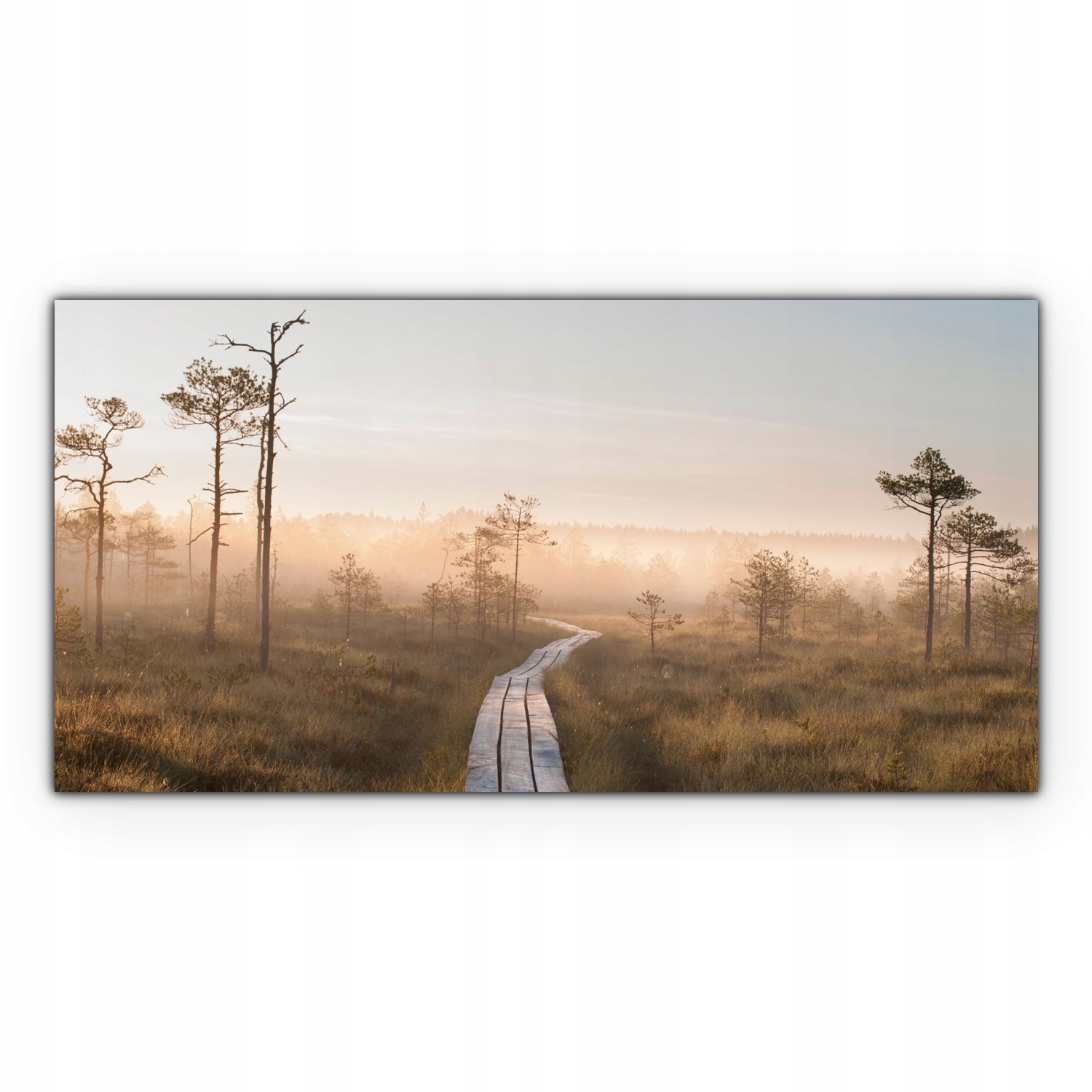 

Foto-obraz canvas 120x60 Droga Las Zachód Słońca